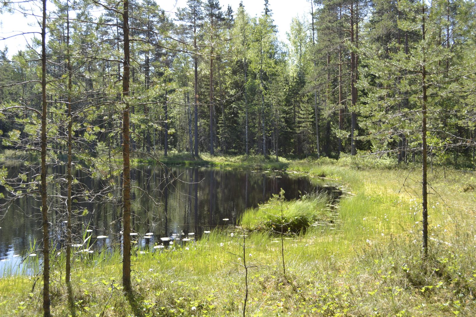 Lahden luonto kutsuu keväällä ja kesällä