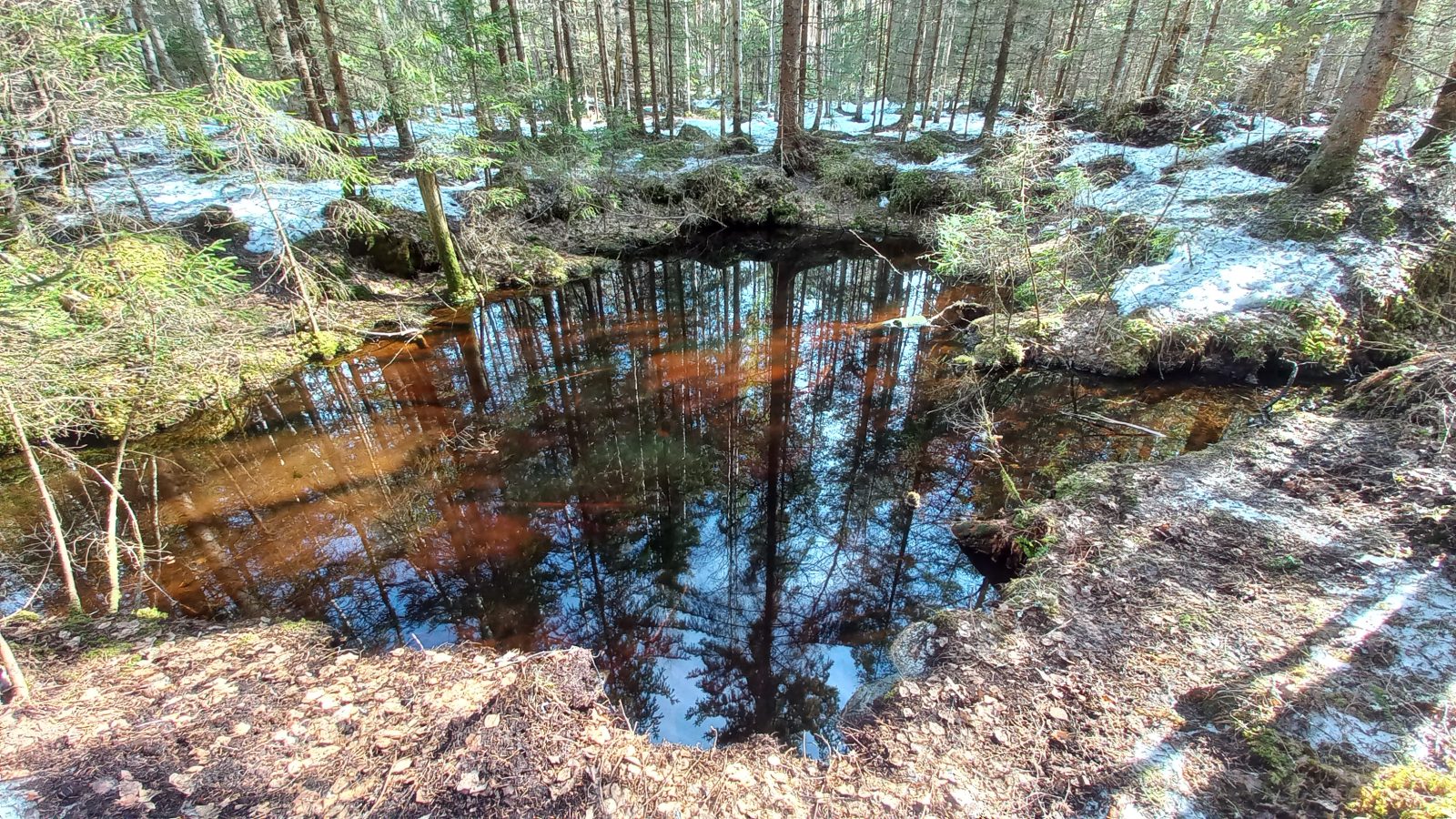 Kintterönsuon lähdettä ennallistetaan Lahdessa