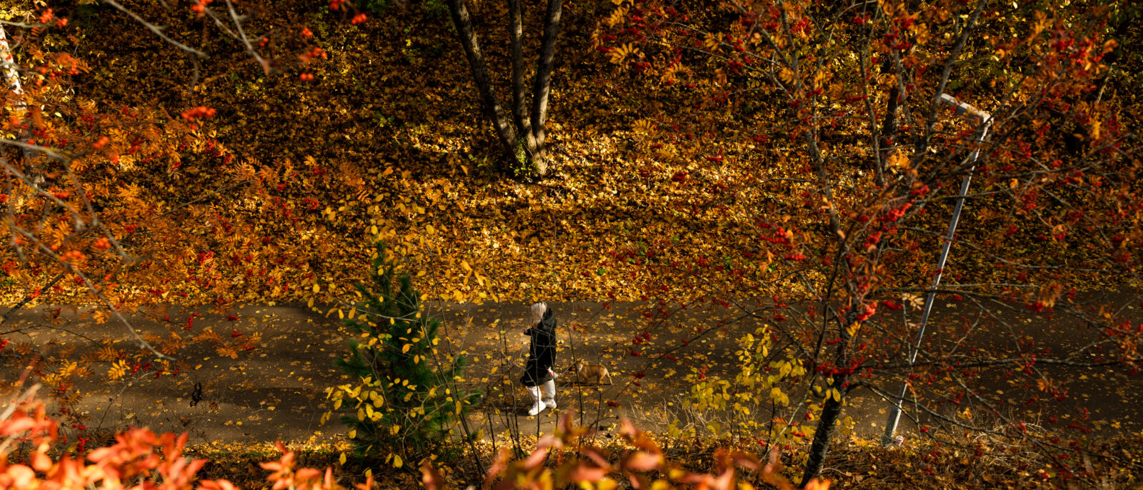 Lahti esittelee terveys- ja ympäristöohjelmaa Brysselissä