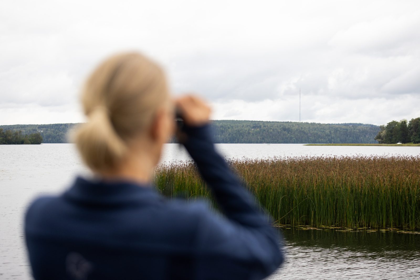 Kilpiäistenpohjan luonto elvytetään yleisötapahtumassa