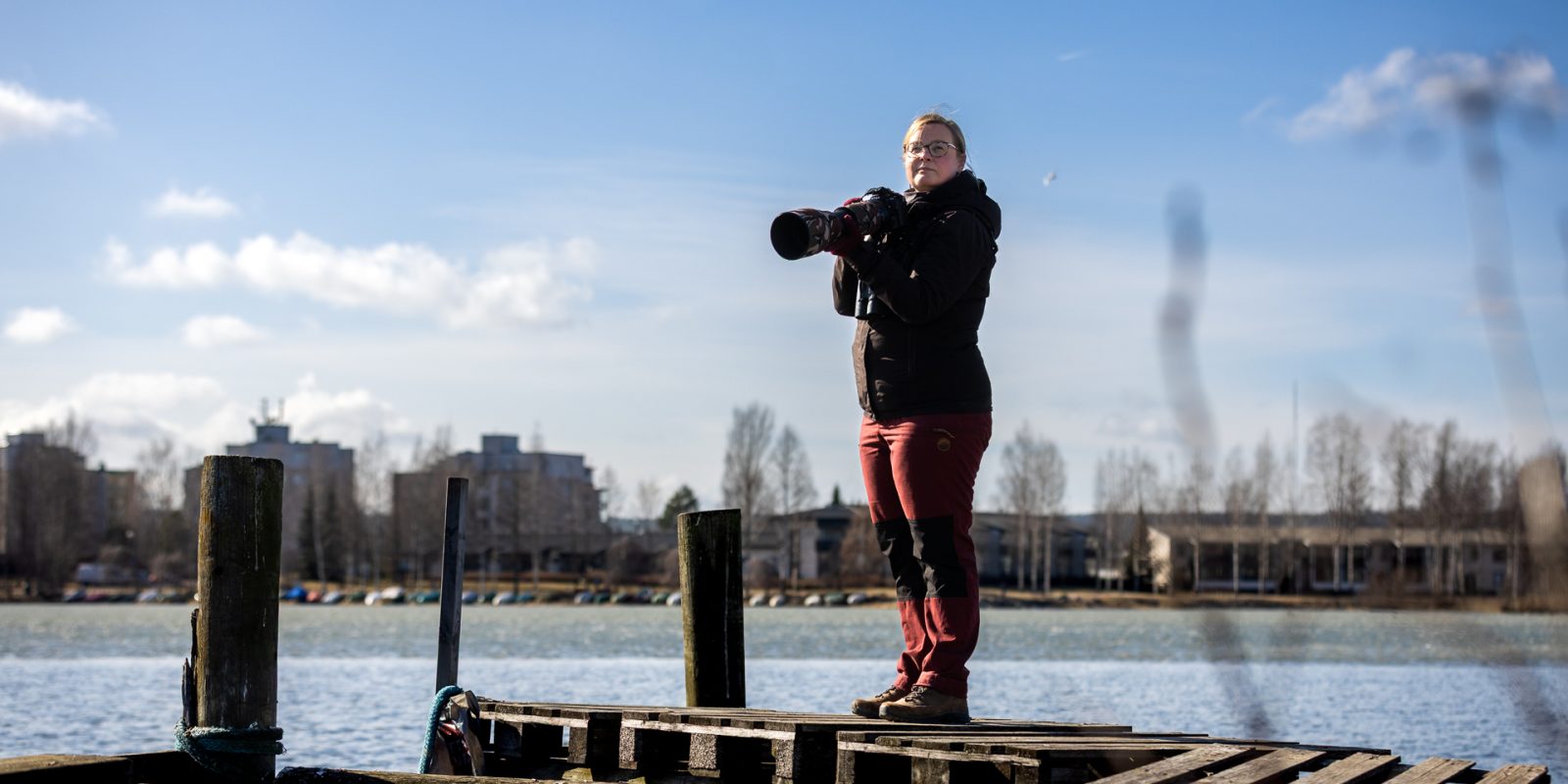 Lintuharrastus kukoistaa Vesijärven rannoilla