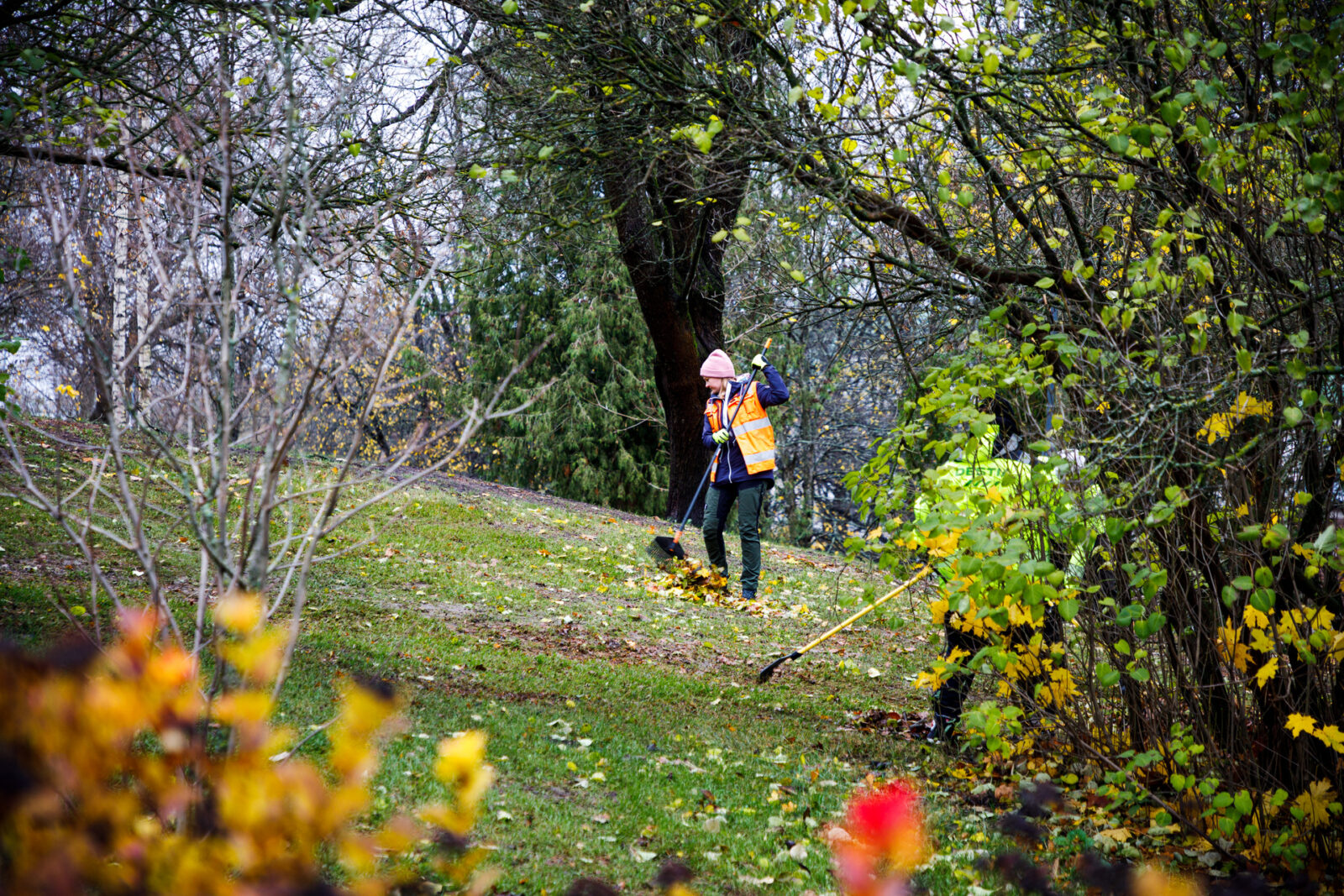 Älä vie puutarhajätettä luontoon!