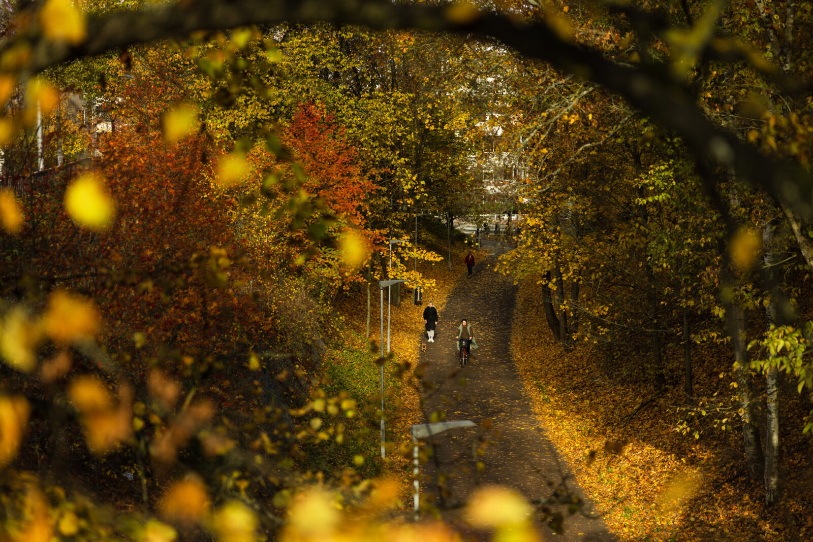 Lahti hakee siltaehdotuksia Loviisanpässiin