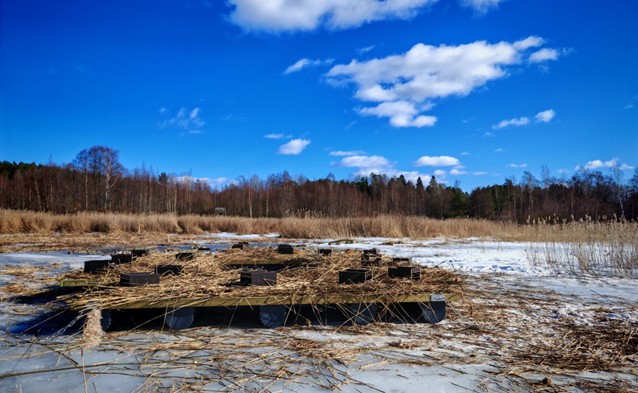 Uusi kelluva lintusaari edistää vesilintujen pesintää Kilpiäistenpohjassa