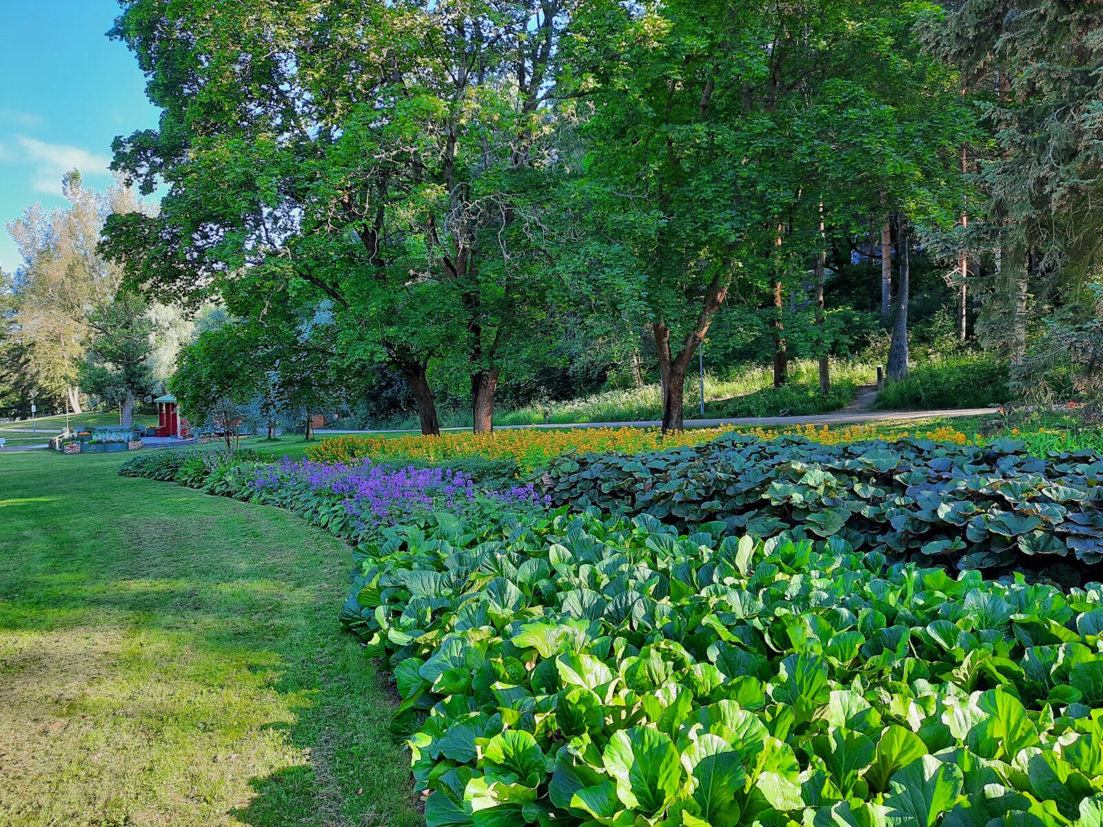 Selvin Päin Kesään -kampanja Lahdessa: Nuorten päihteidenkäyttöön puututaan