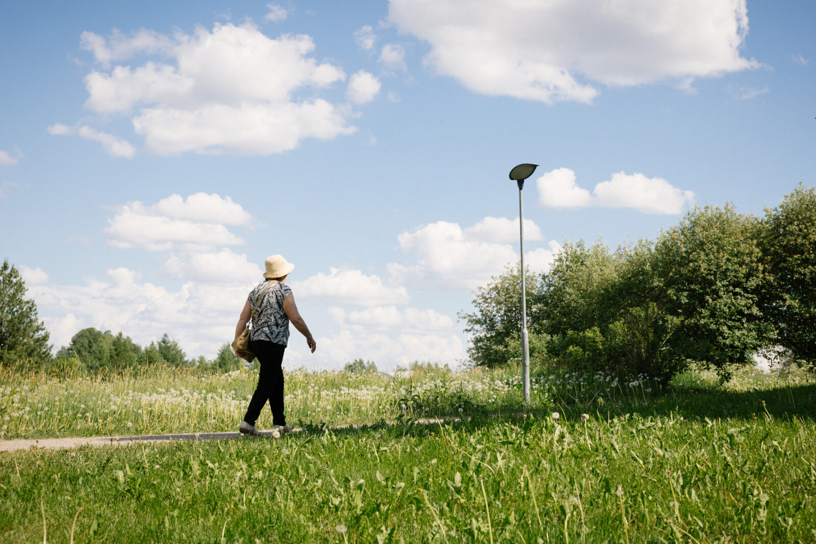 Lahden niityt uudistetaan
