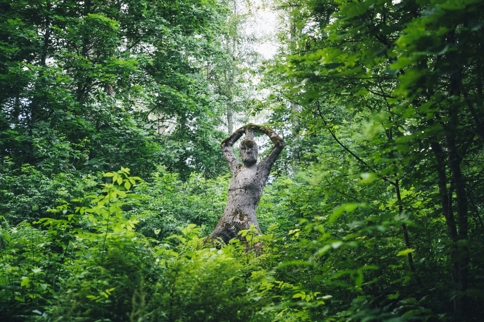 Olavi Lanun 100-vuotisjuhla Lahdessa: Ilmainen sisäänpääsy Malvaan!