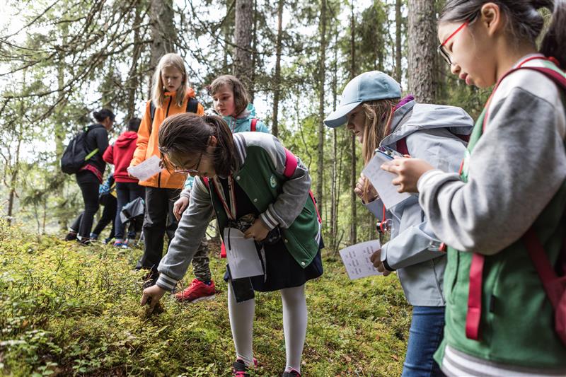 Lahtelaiset kehittävät osallistuvan budjetoinnin ideoita