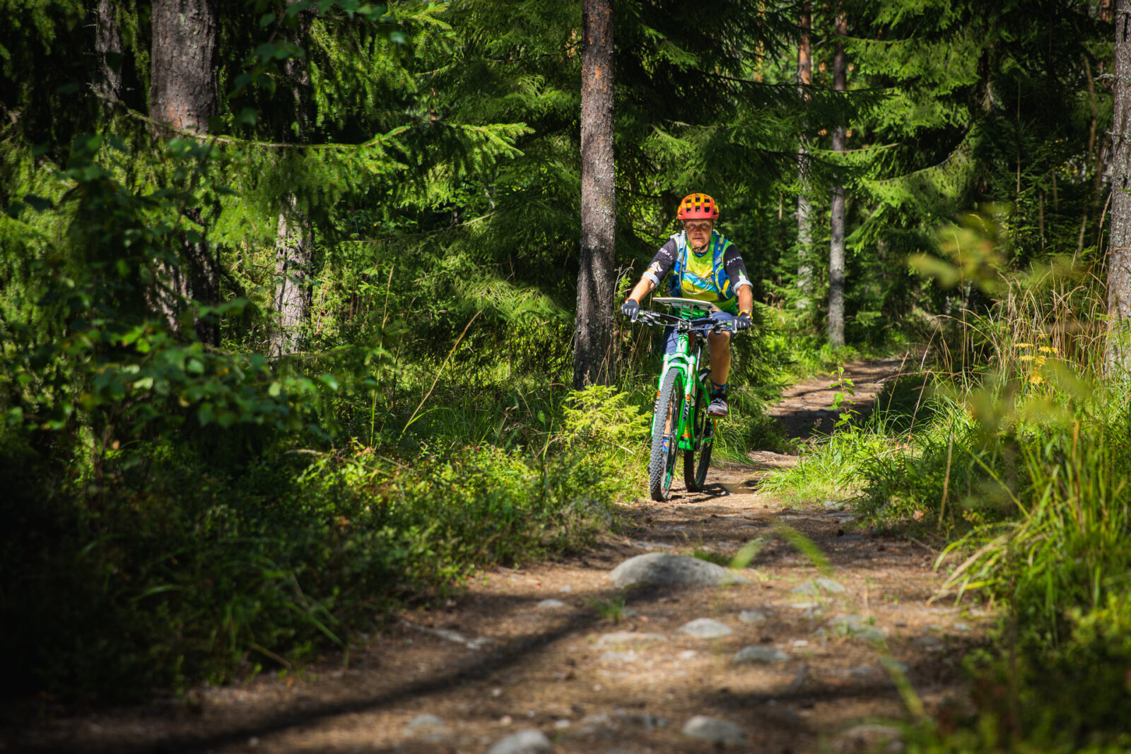 Uusi Salpausselän ulkoilukartta julkaistu