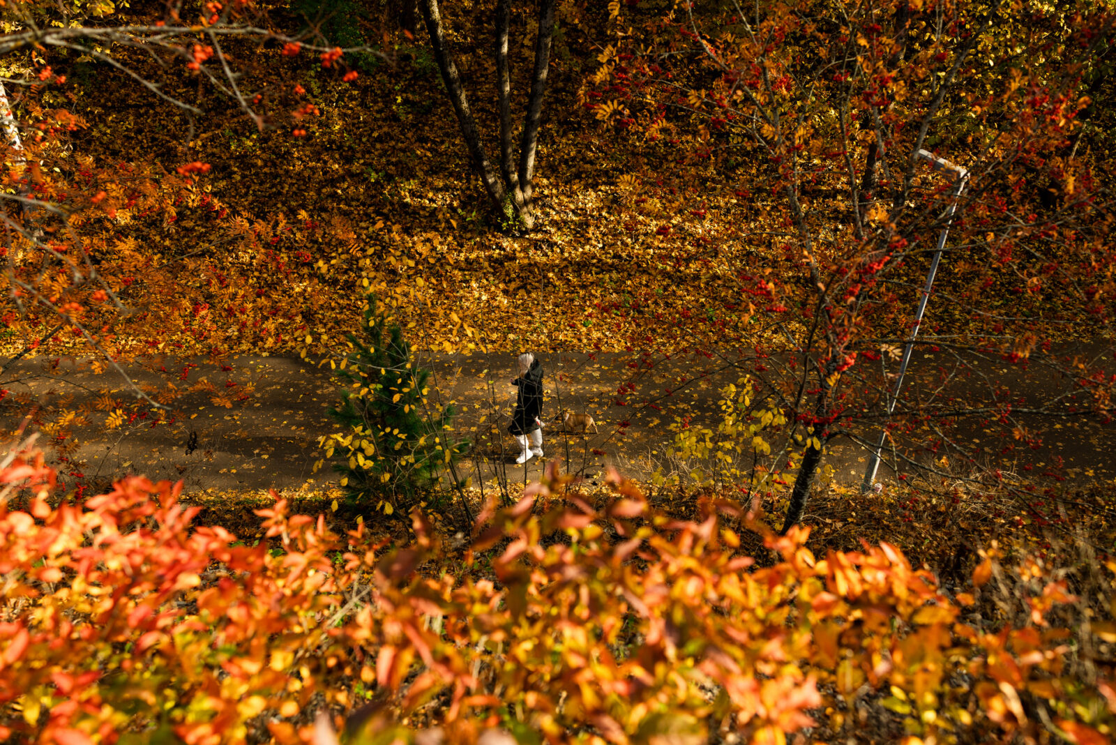 Lahti esittelee terveys- ja ympäristöohjelmansa Brysselissä