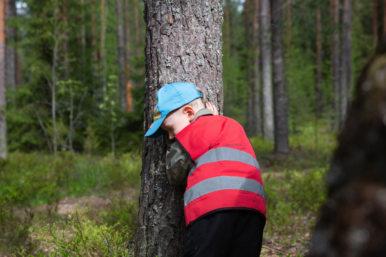 Luonto-opetus laajenee Lahden kouluissa