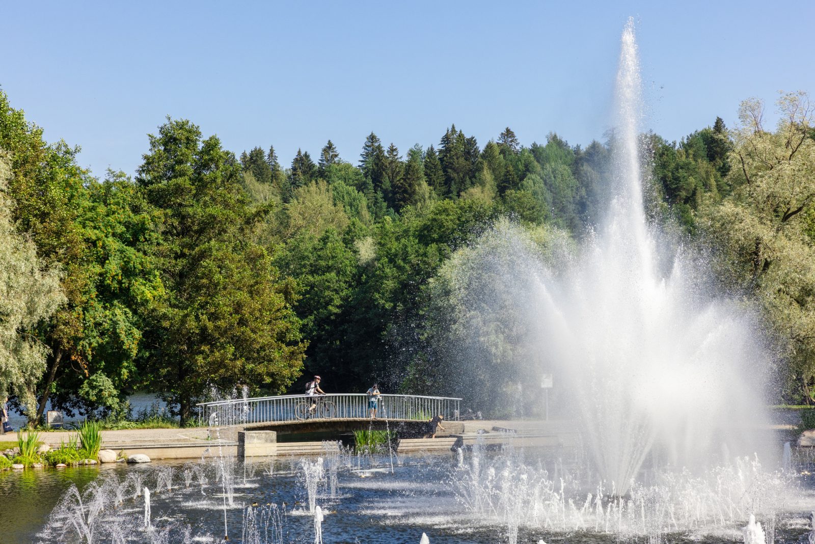 Pikku-Vesijärvenpuisto palkittiin jälleen Green Flag Award -tunnuksella