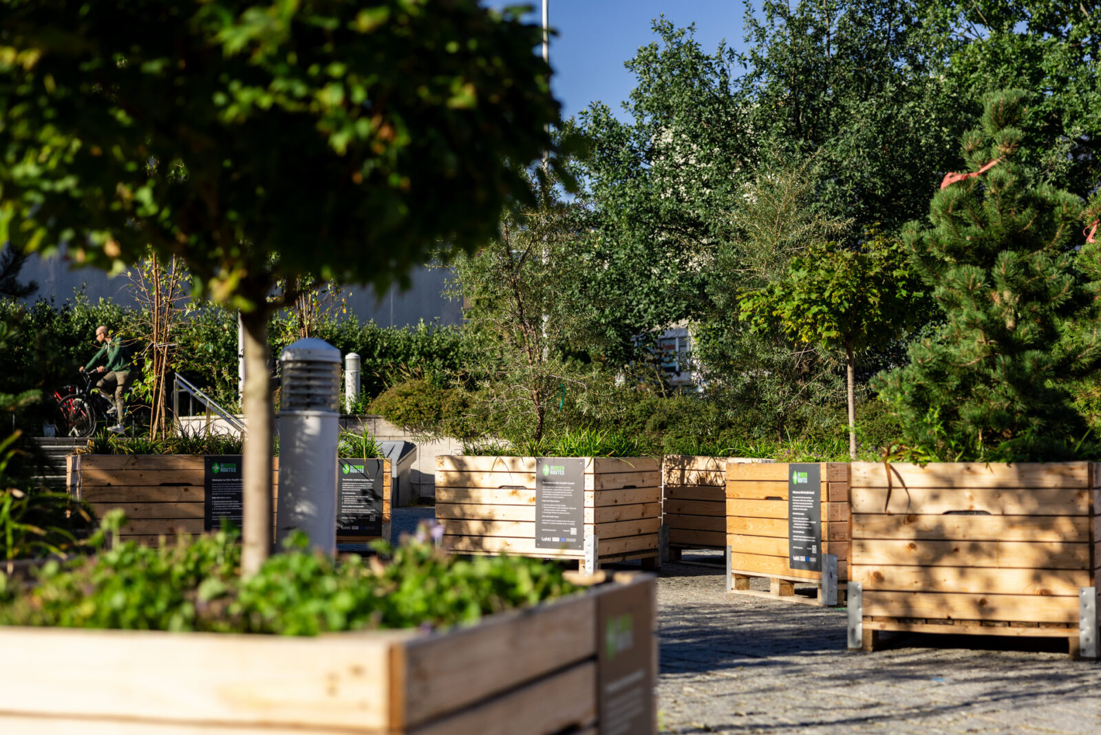 Lanunaukio vihertyy vuonna 2026 – Lahti kuulee asukkaiden toiveita